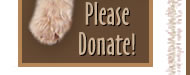 Donate to the Southwest Airedale Terrier Rescue Organization